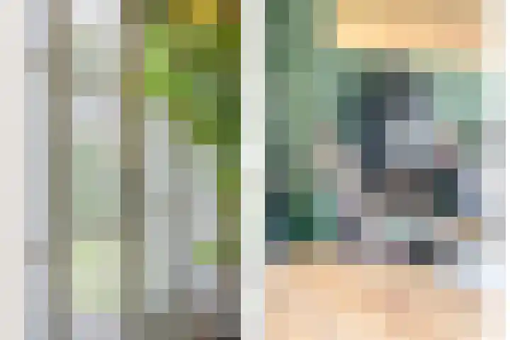 Hofakkersweg 1 Exloo thumbnail 18