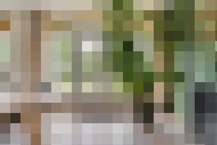 Hofakkersweg 1 Exloo thumbnail 25