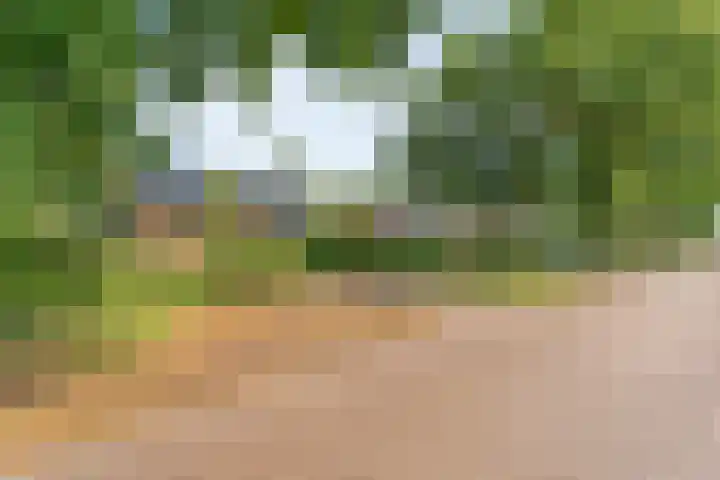 Hofakkersweg 1 Exloo thumbnail 4