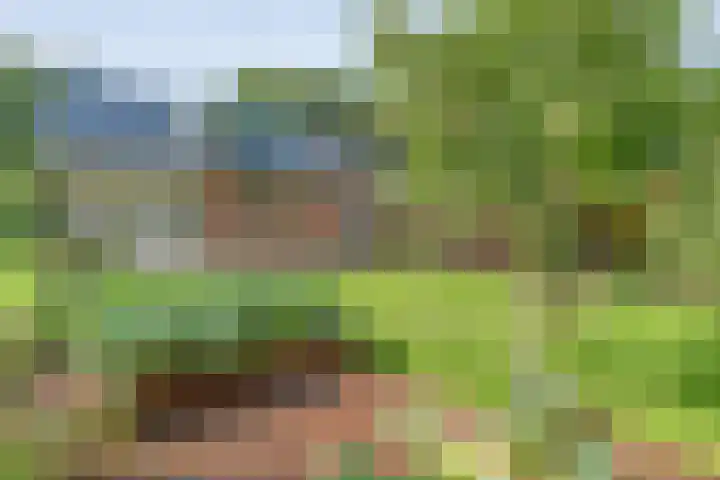 Hofakkersweg 1 Exloo thumbnail 50