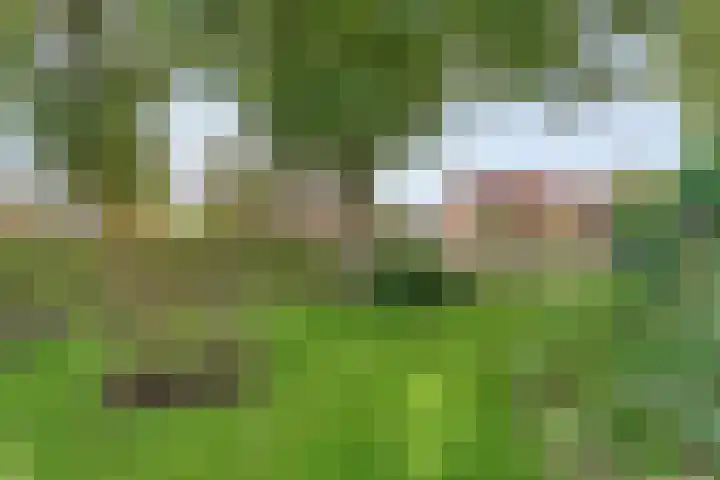 Hofakkersweg 1 Exloo thumbnail 51