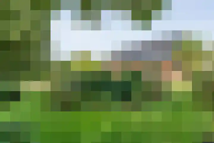 Hofakkersweg 1 Exloo thumbnail 52