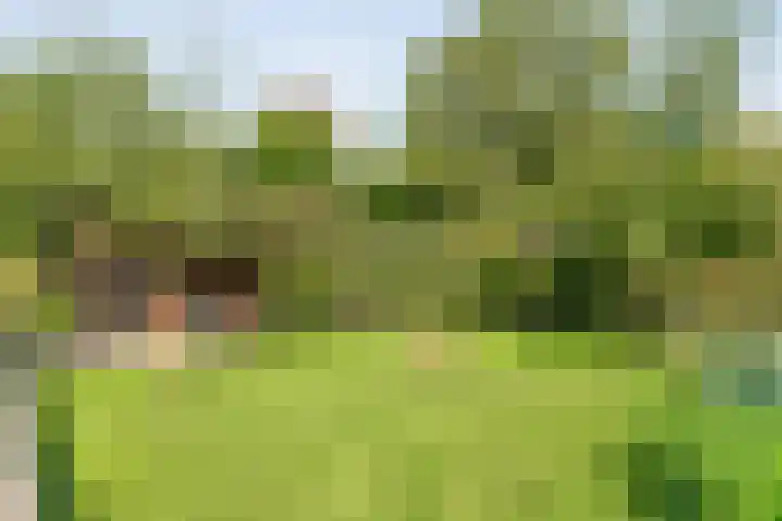 Hofakkersweg 1 Exloo thumbnail 53