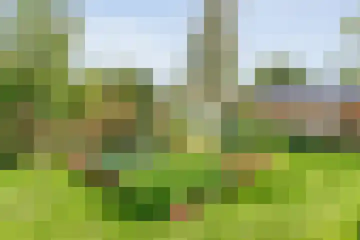 Hofakkersweg 1 Exloo thumbnail 54