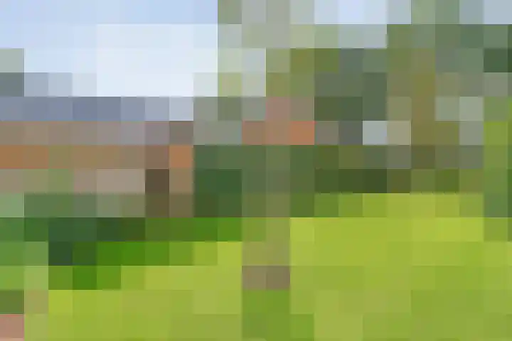 Hofakkersweg 1 Exloo thumbnail 55