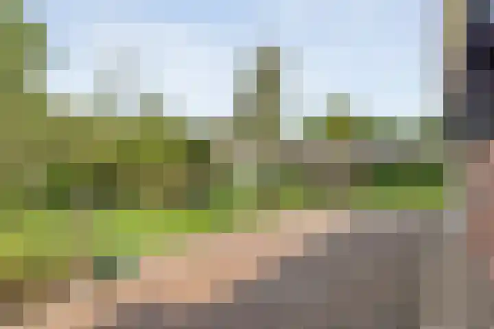 Hofakkersweg 1 Exloo thumbnail 56