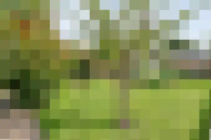 Hofakkersweg 1 Exloo thumbnail 57