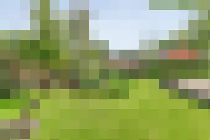 Hofakkersweg 1 Exloo thumbnail 58