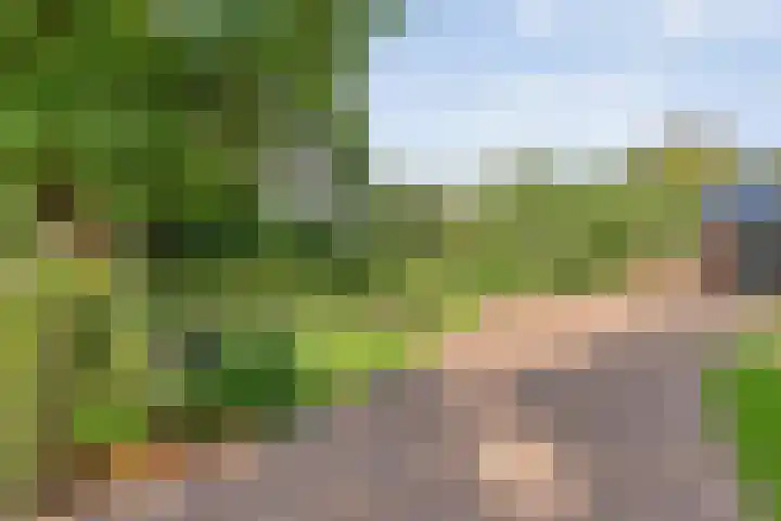 Hofakkersweg 1 Exloo thumbnail 6