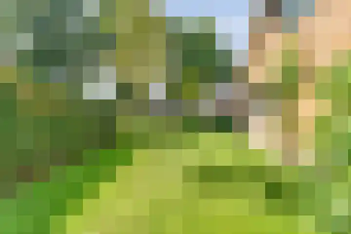 Hofakkersweg 1 Exloo thumbnail 60