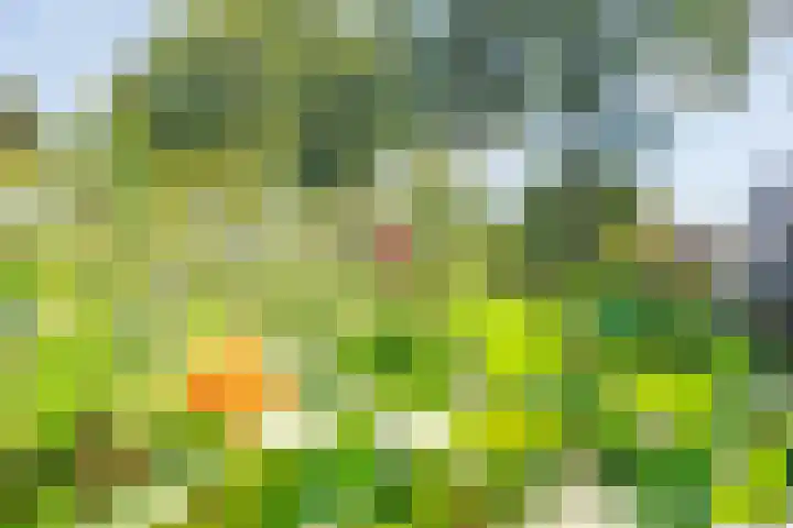 Hofakkersweg 1 Exloo thumbnail 61