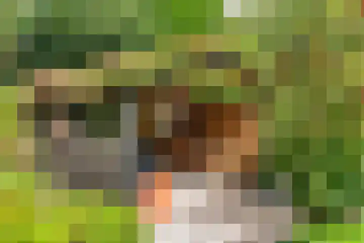 Hofakkersweg 1 Exloo thumbnail 63