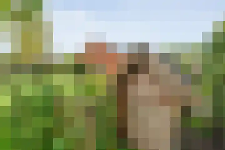 Hofakkersweg 1 Exloo thumbnail 64