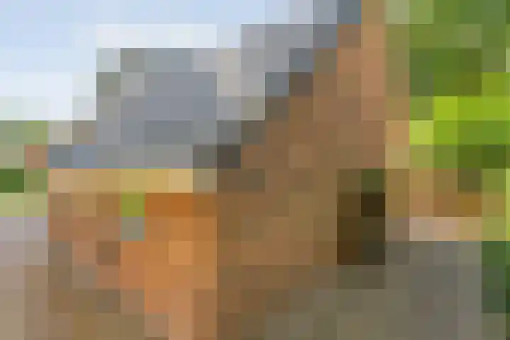 Hofakkersweg 1 Exloo thumbnail 65