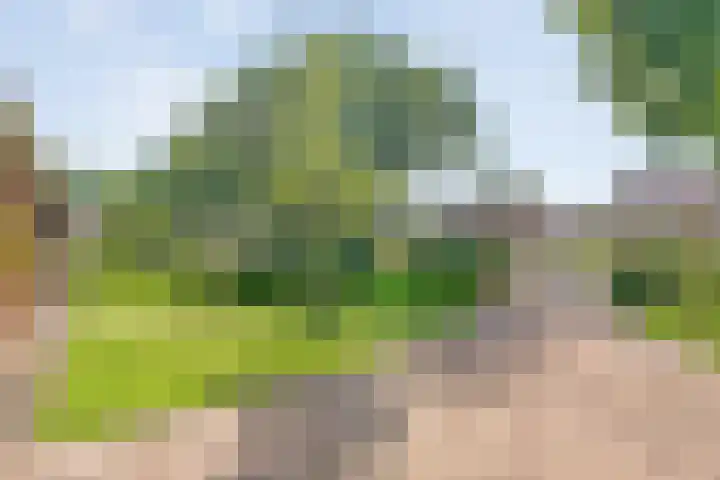 Hofakkersweg 1 Exloo thumbnail 7
