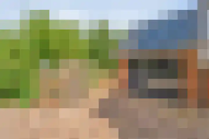 Hofakkersweg 1 Exloo thumbnail 8