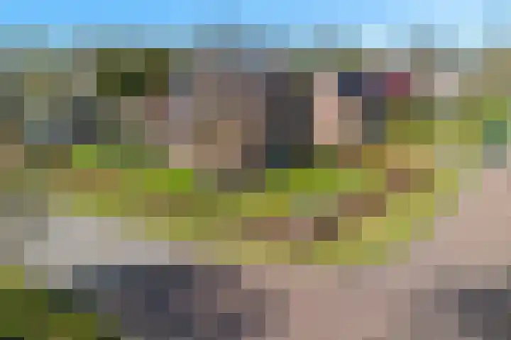Hofakkersweg 6 Exloo
