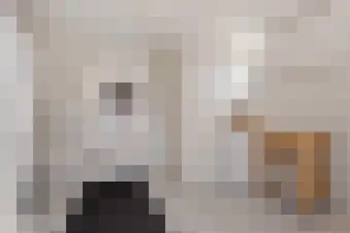 Hofakkersweg 6 Exloo thumbnail 20