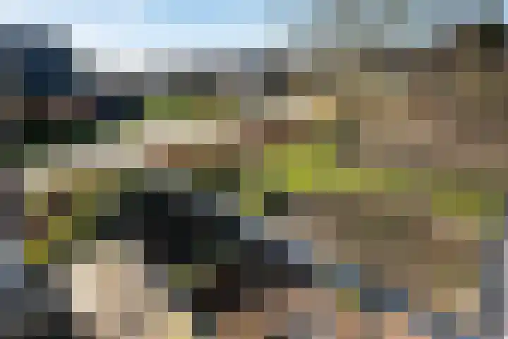 Hofakkersweg 6 Exloo thumbnail 27