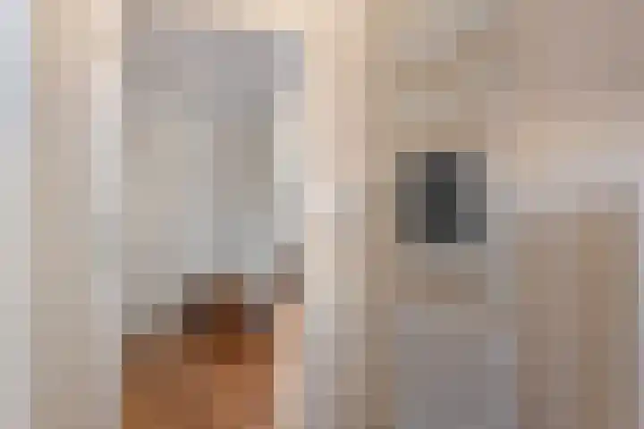 Hofakkersweg 6 Exloo thumbnail 32
