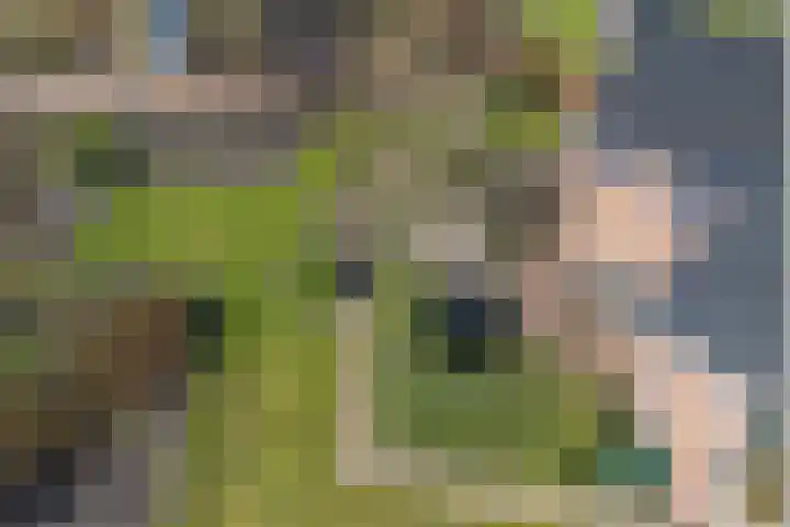 Hofakkersweg 6 Exloo thumbnail 42