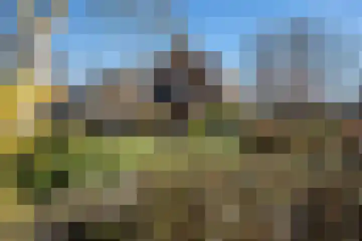 Hofakkersweg 6 Exloo thumbnail 43