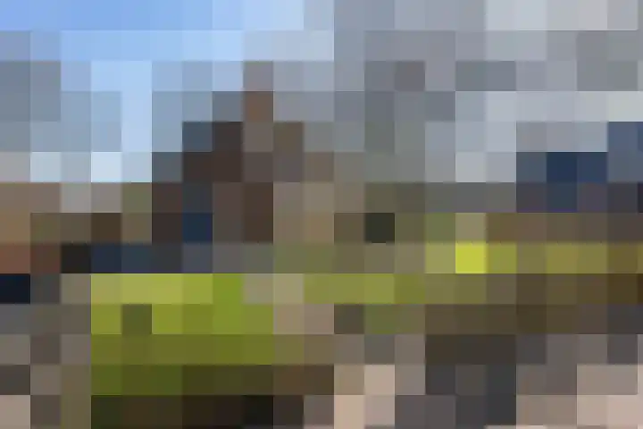 Hofakkersweg 6 Exloo thumbnail 44