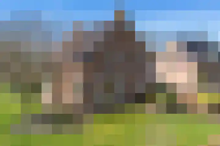Hofakkersweg 6 Exloo thumbnail 48