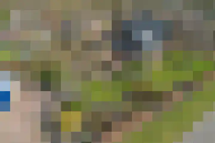 Hofakkersweg 6 Exloo thumbnail 49