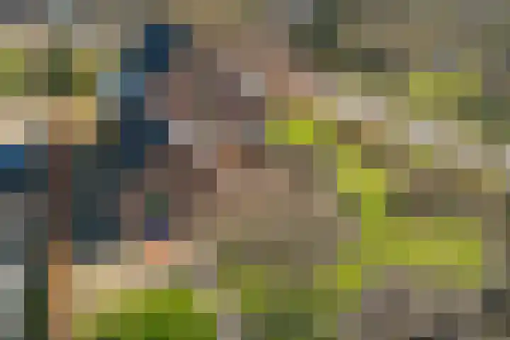 Hofakkersweg 6 Exloo thumbnail 50