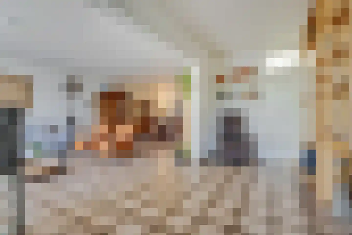 Hofbeeklaan 20 Ede thumbnail 10