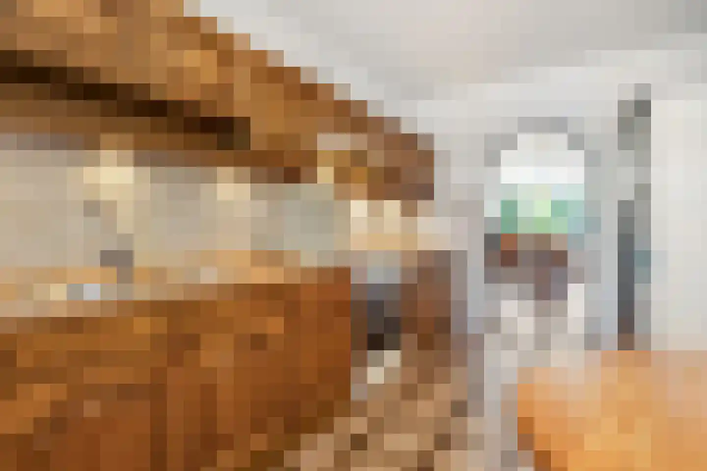 Hofbeeklaan 20 Ede thumbnail 16
