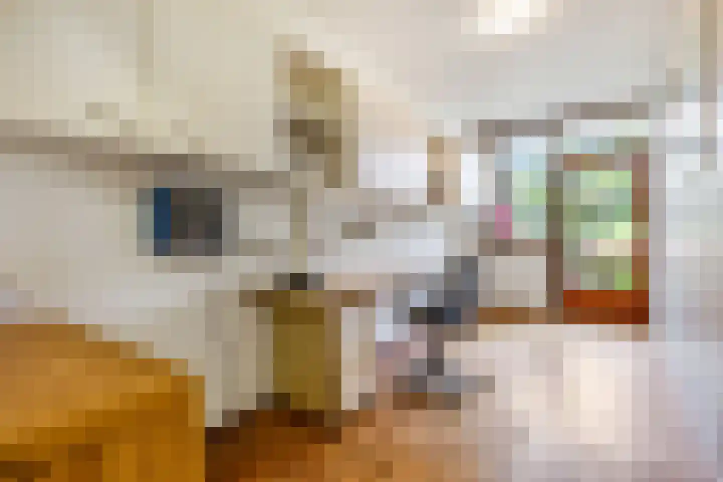 Hofbeeklaan 20 Ede thumbnail 22