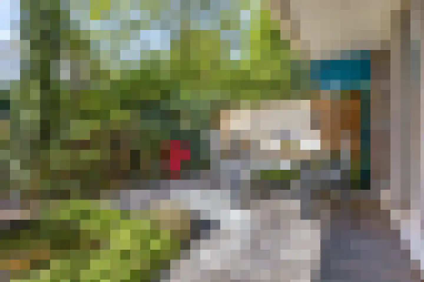 Hofbeeklaan 20 Ede thumbnail 24