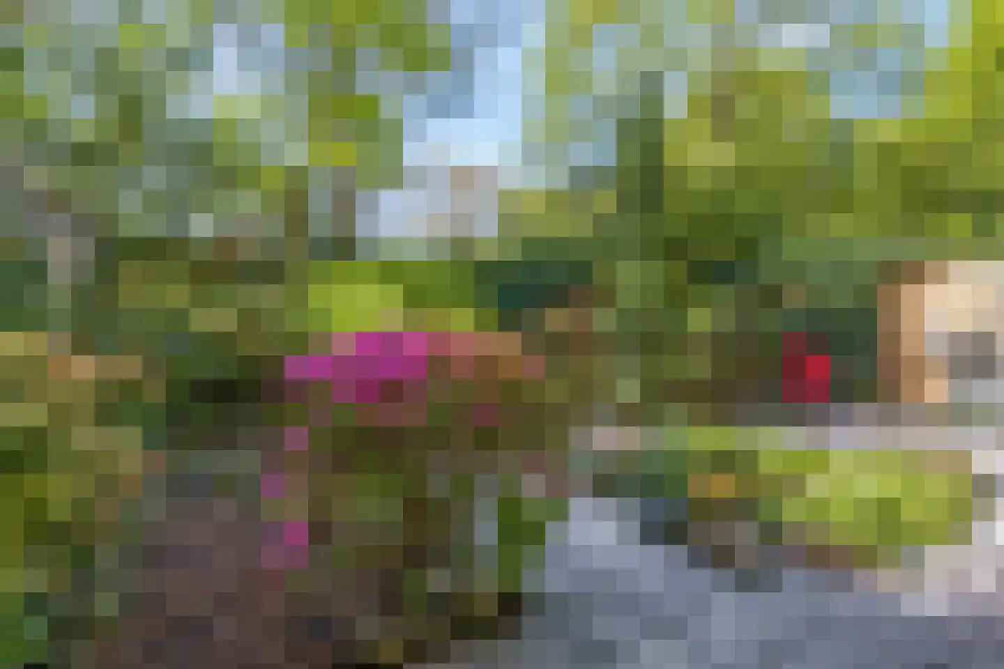 Hofbeeklaan 20 Ede thumbnail 26