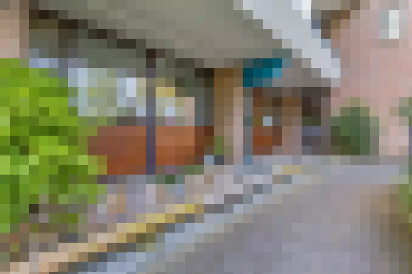 Hofbeeklaan 20 Ede thumbnail 38
