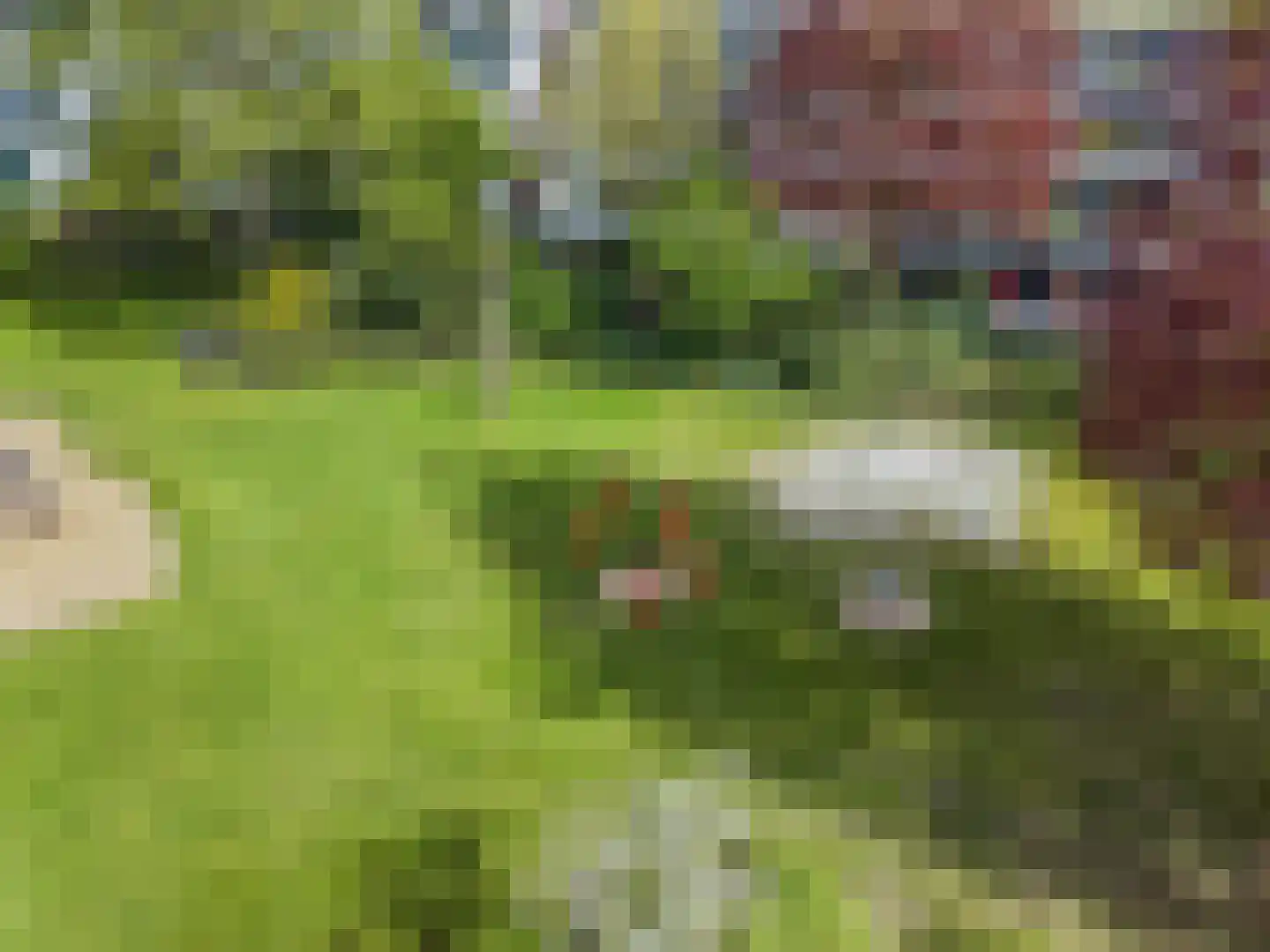 Hofbeeklaan 20 Ede thumbnail 41