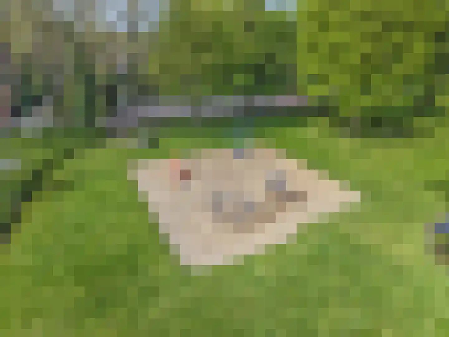 Hofbeeklaan 20 Ede thumbnail 42