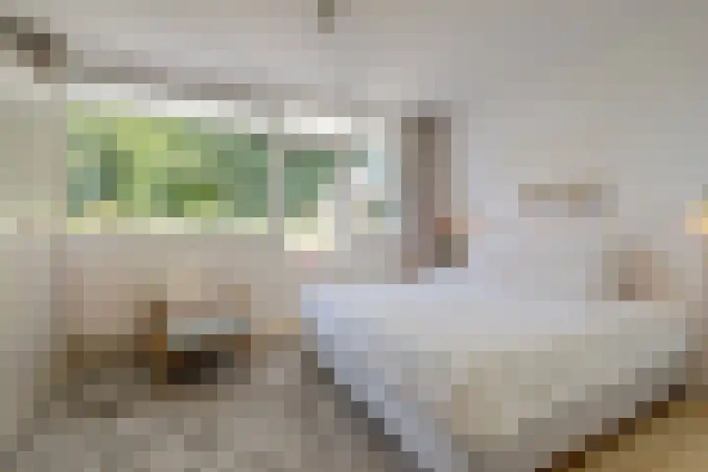 Hofbeeklaan 48 Ede thumbnail 23