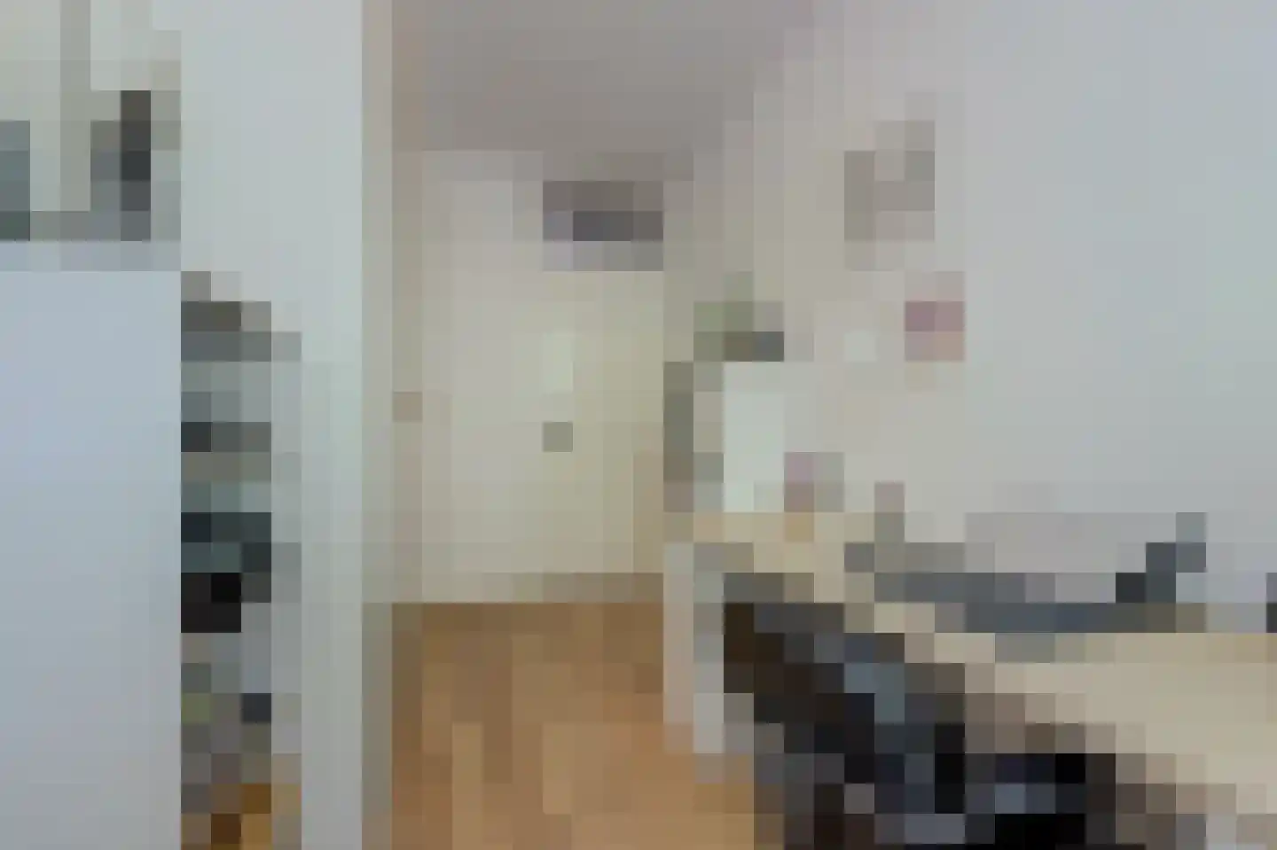 Hofbeeklaan 48 Ede thumbnail 28