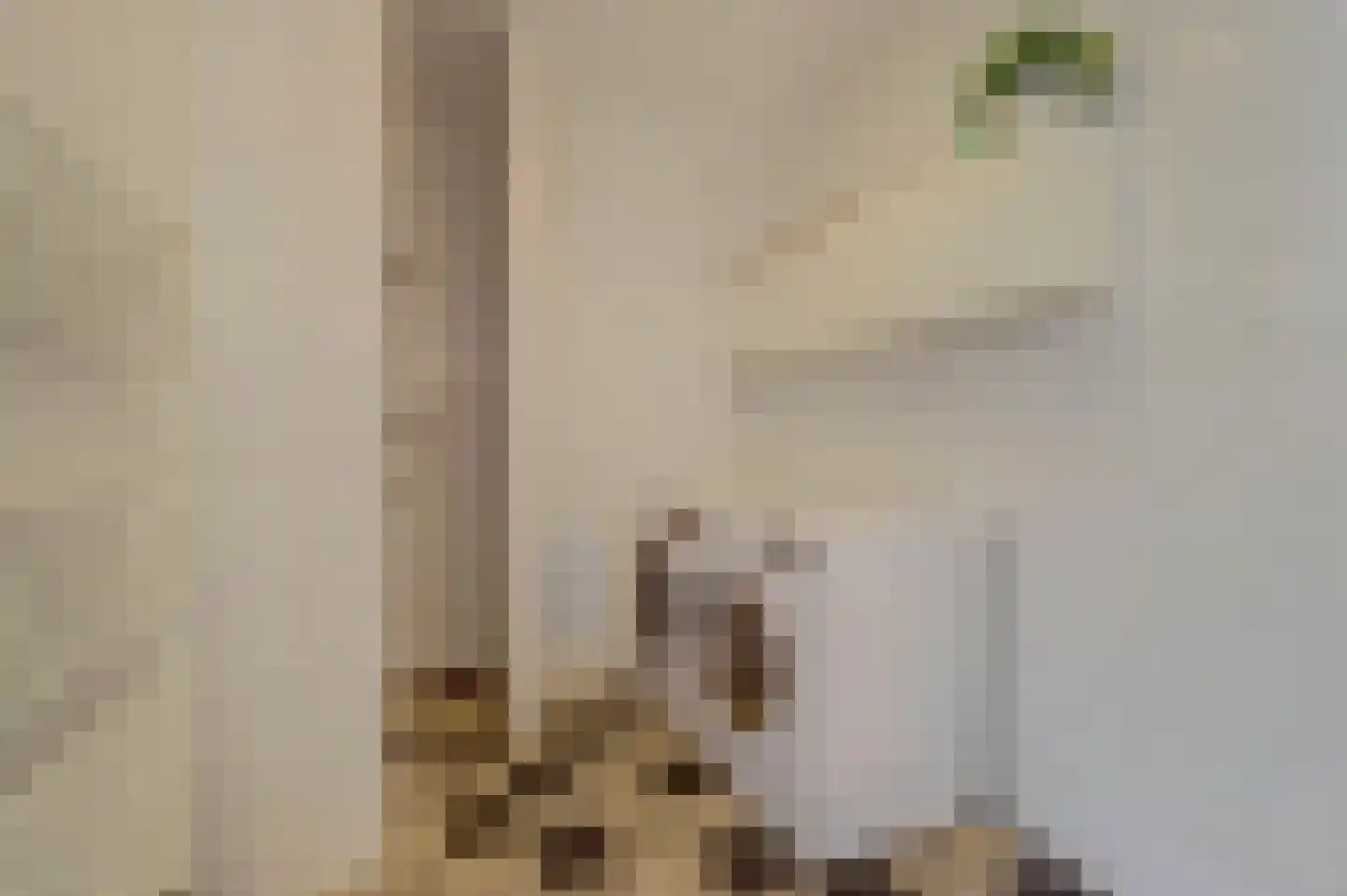 Hofbeeklaan 48 Ede thumbnail 30