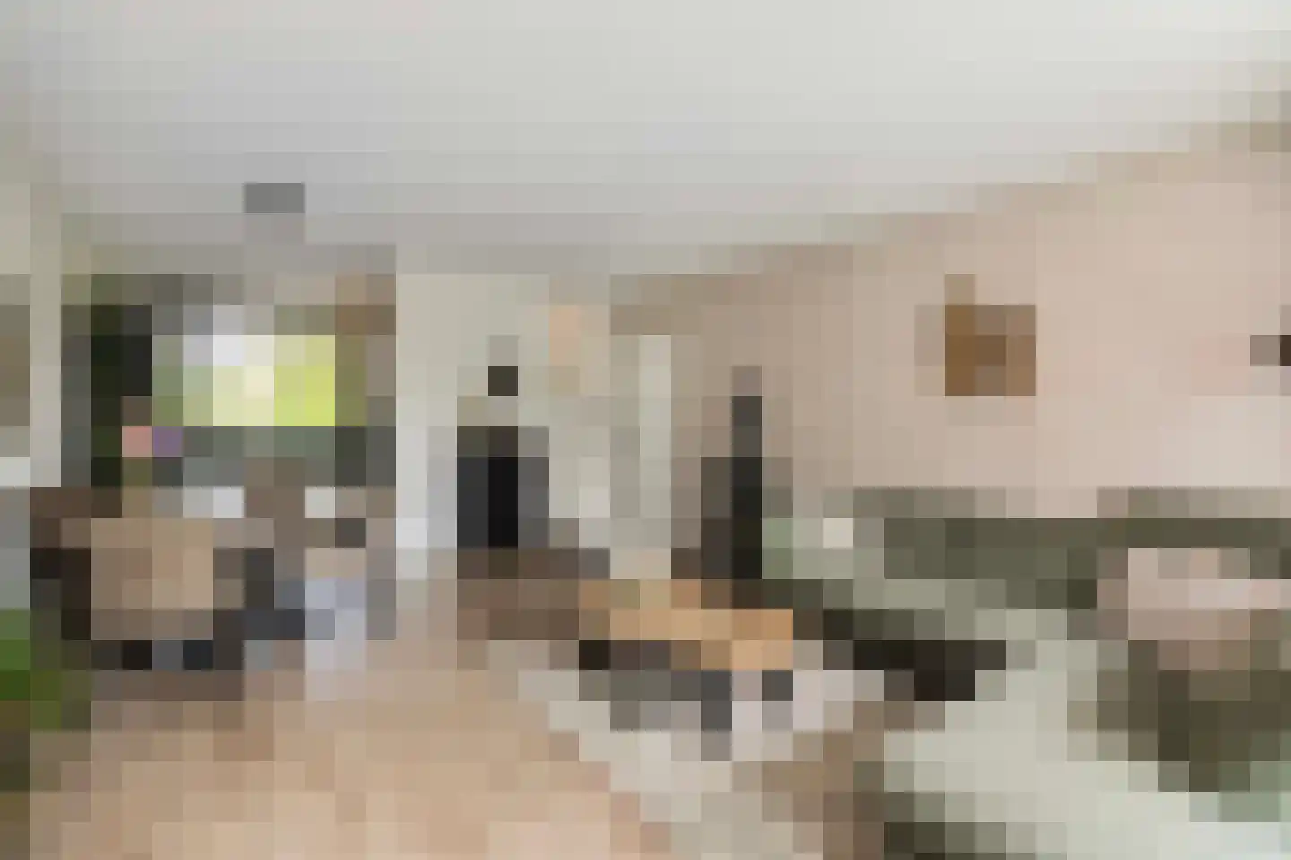Hofbeeklaan 74 Ede thumbnail 13
