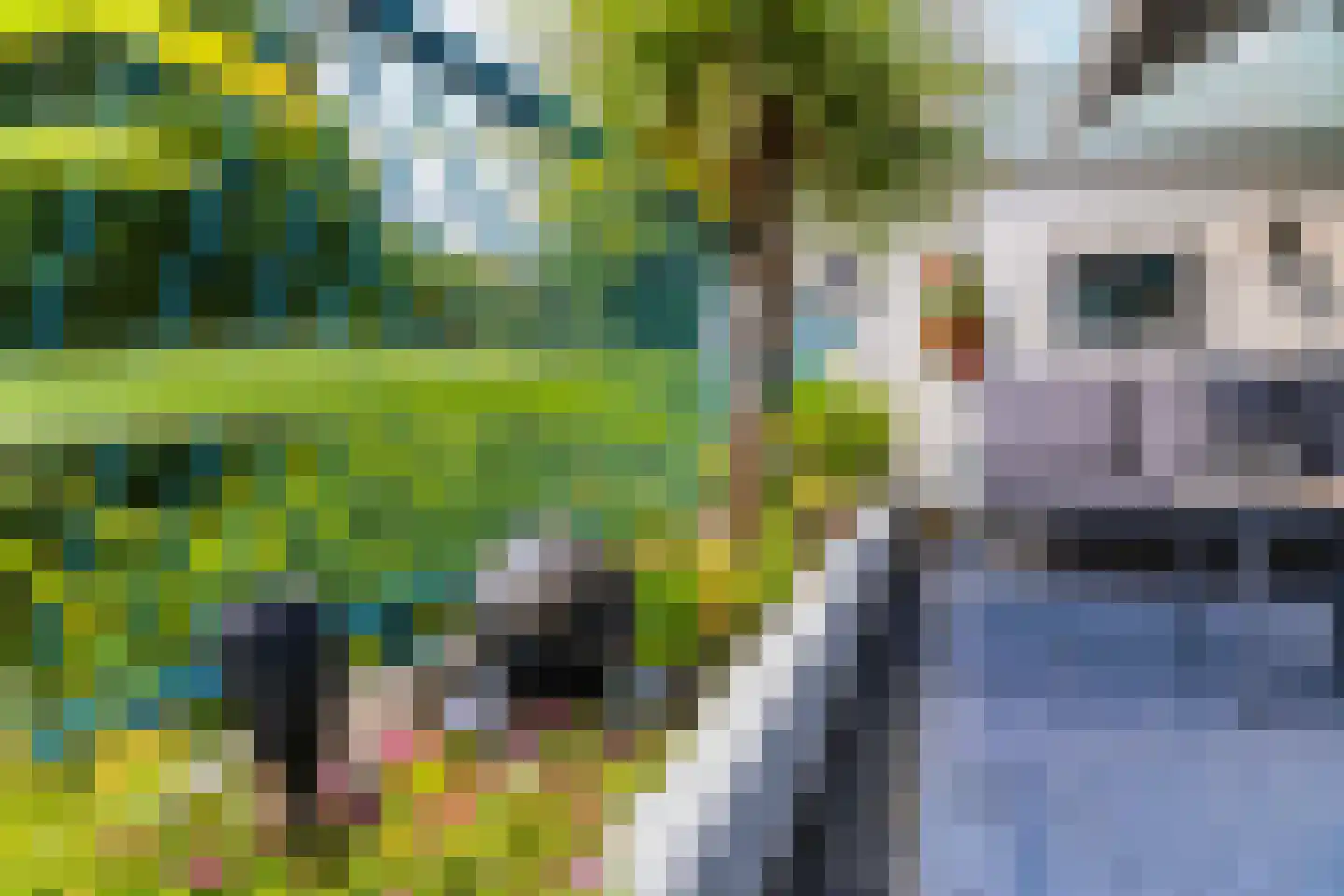 Hofbeeklaan 74 Ede thumbnail 24