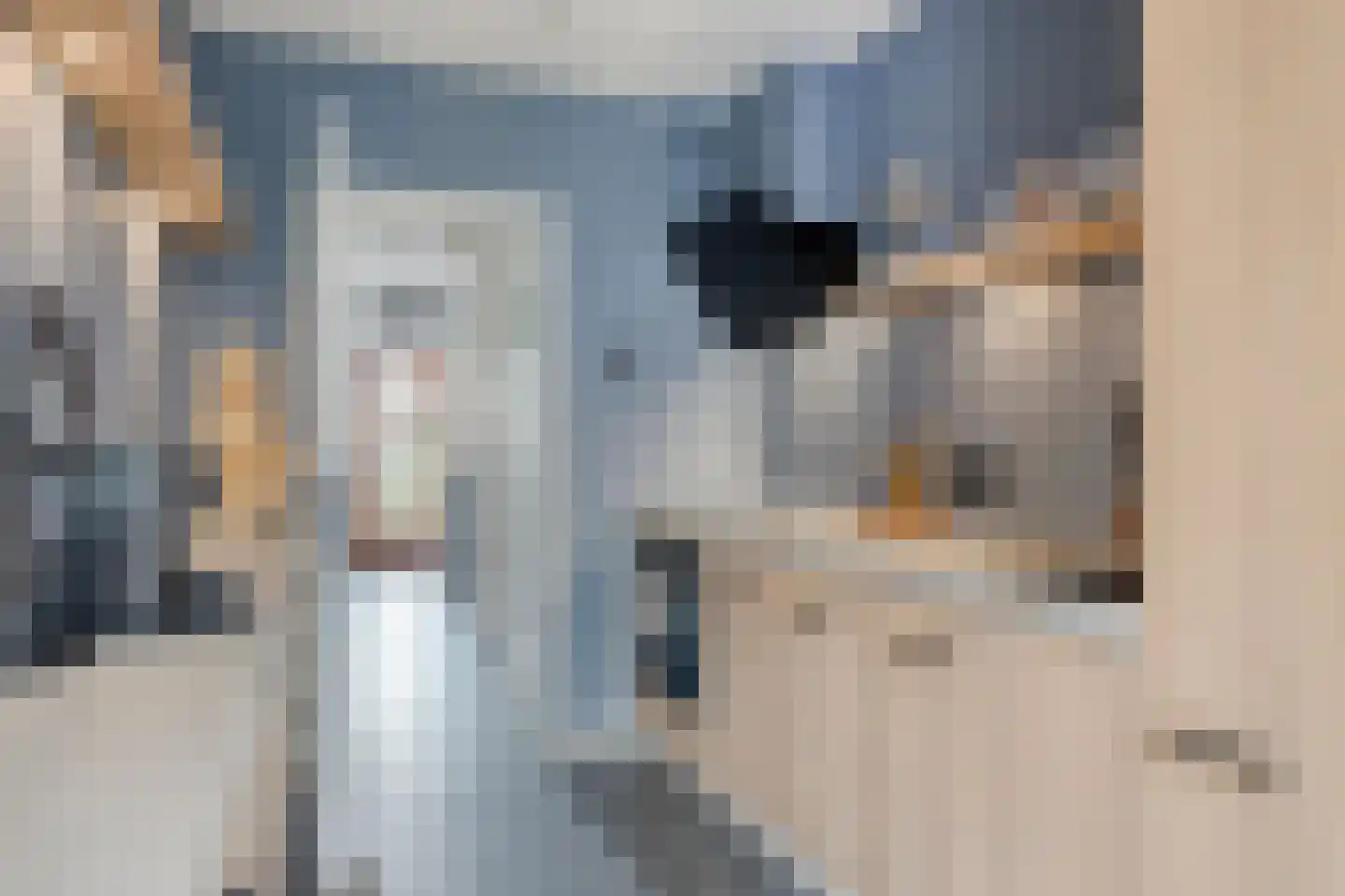 Hofbrouckerlaan 38 Oegstgeest thumbnail 15