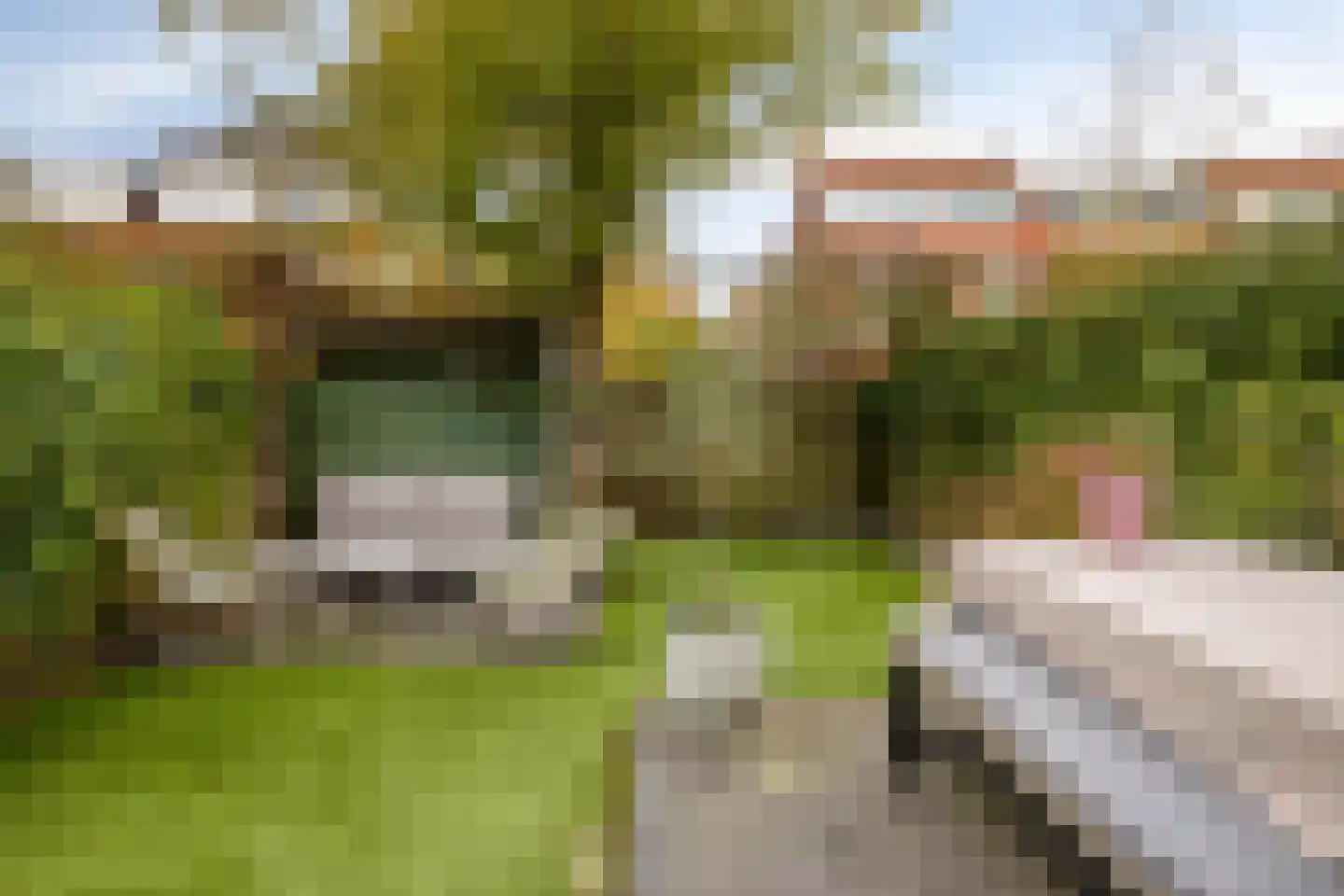 Hofbrouckerlaan 38 Oegstgeest thumbnail 29