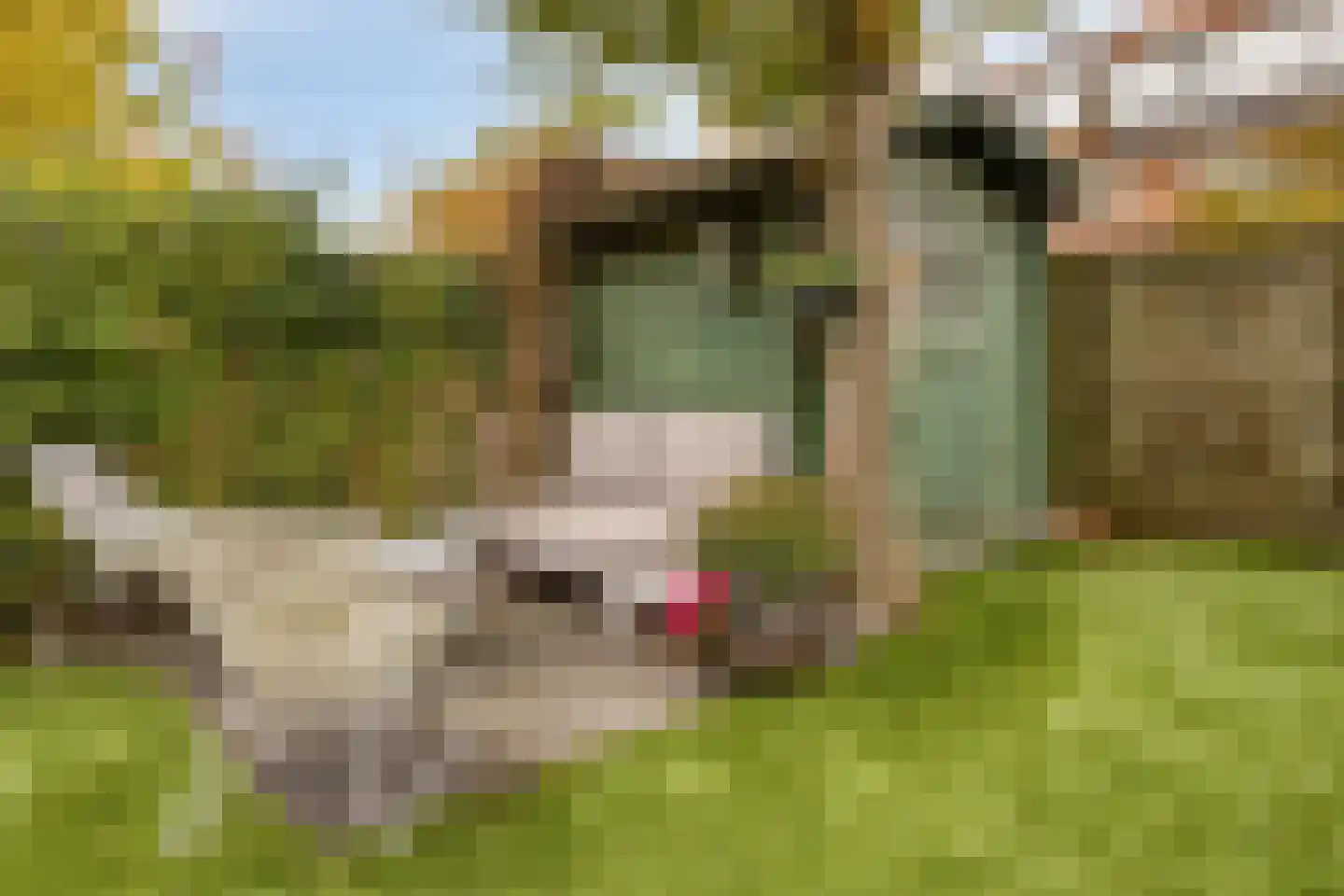 Hofbrouckerlaan 38 Oegstgeest thumbnail 30