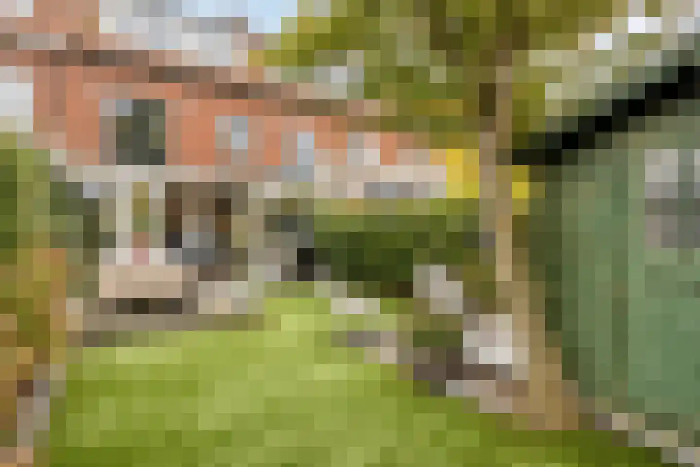 Hofbrouckerlaan 38 Oegstgeest thumbnail 32