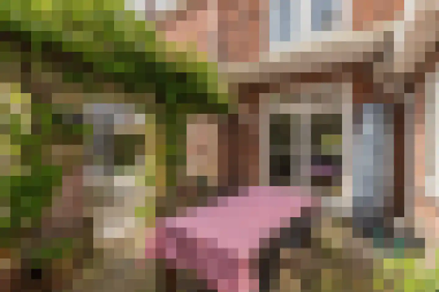 Hofbrouckerlaan 7 Oegstgeest thumbnail 15