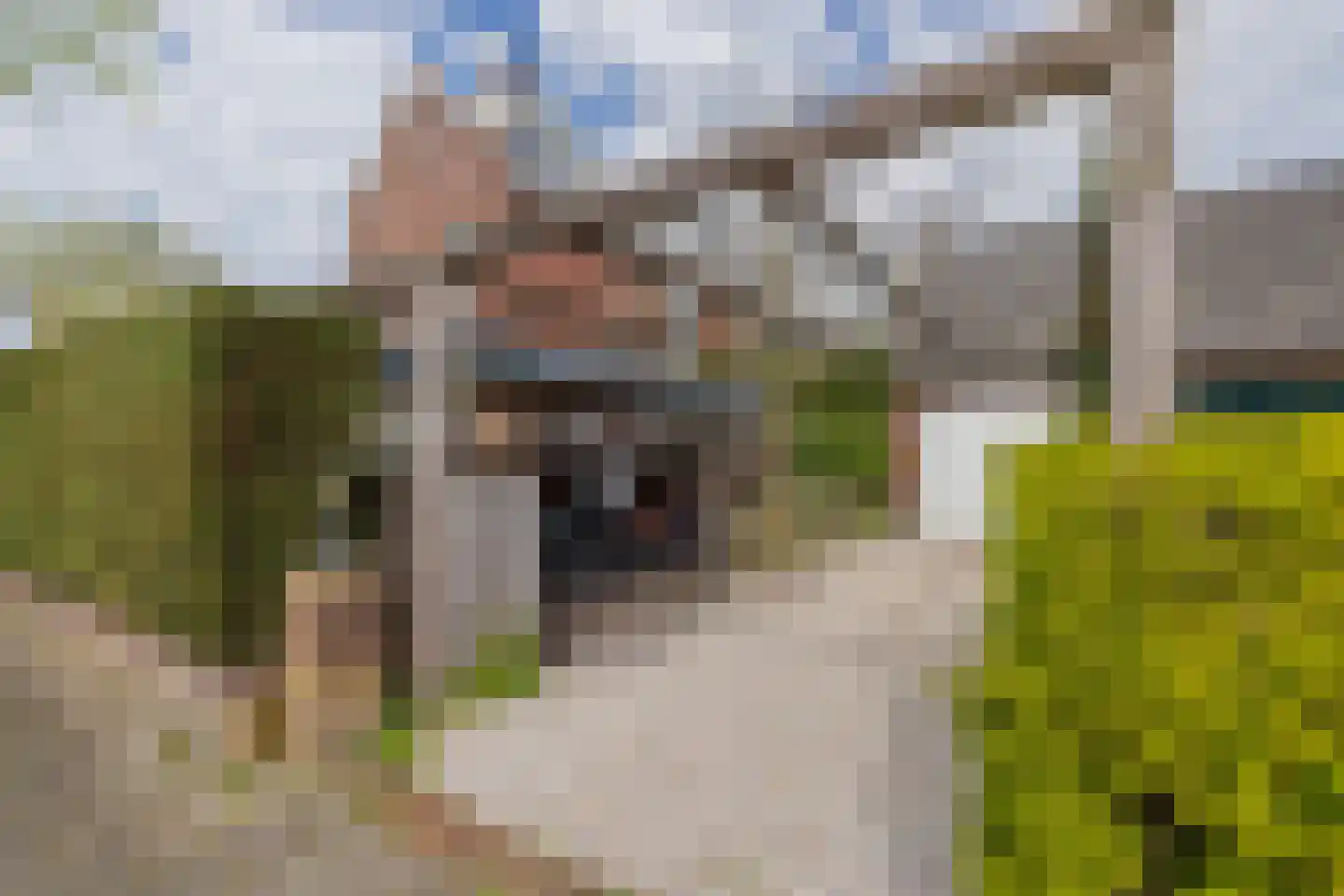 Hofbrouckerlaan 7 Oegstgeest thumbnail 17