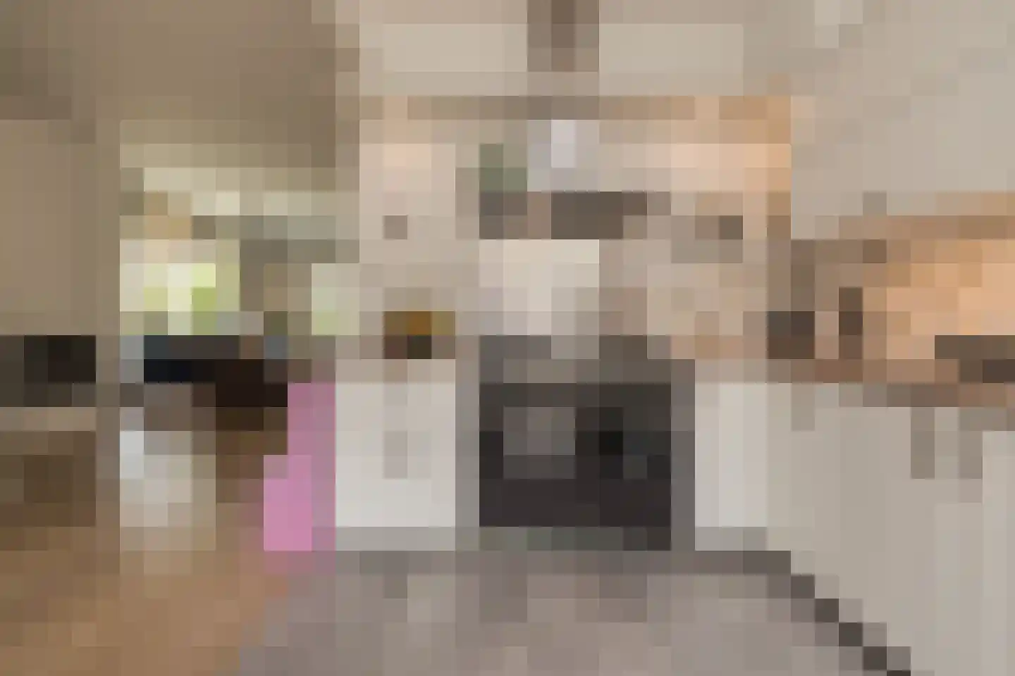 Hofbrouckerlaan 7 Oegstgeest thumbnail 28